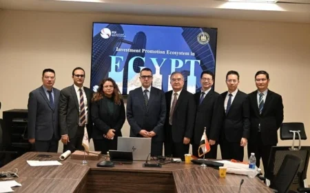 استقبال وفد مجلس مقاطعة جيانجسو من قبل التمثيل التجاري المصري لتعزيز التعاون الاقتصادي