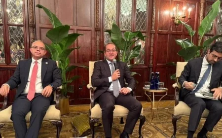 وزير المالية يؤكد تحسن ونمو الاقتصاد المصري بفضل زيادة ثقة المستثمرين