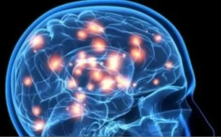 دراسة تكشف عن مسار السكر في الدماغ ودوره في الاكتئاب المقاوم للعلاج