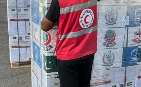 طائرة مساعدات باكستانية تصل مطار العريش لدعم أهالي قطاع غزة