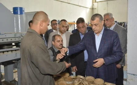 وزير الإنتاج الحربي يزور شركة هليوبوليس للصناعات الكيماوية للاطمئنان على سير العمل