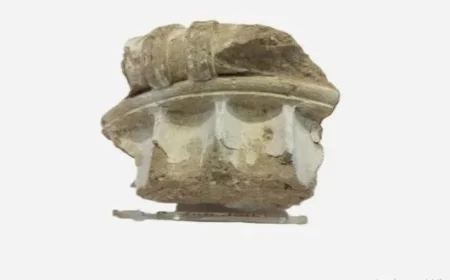 ألمانية تستعيد قطعة أثرية من اليونان بعد نصف قرن من فقدانها