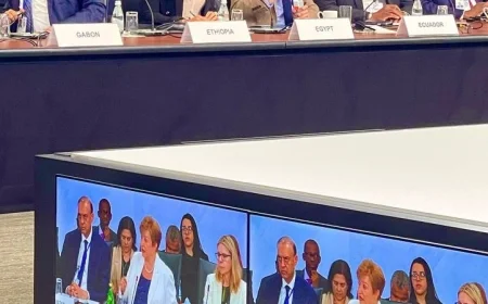 وزيرة التخطيط المصرية تبرز دور مصر في الاجتماع الوزاري لمجموعة الـ 24 الحكومية الدولية