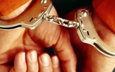 تحرير 4 أفراد عصابة لاستغلال 18 طفلا في التسول بالجيزة