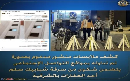 القبض على لصين بتهمة سرقة 9 شبابيك من عقار في الشرقية