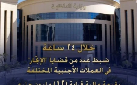 الداخلية تكشف عن ضبط قضايا إتجار في العملات الأجنبية بقيمة 12 مليون جنيه