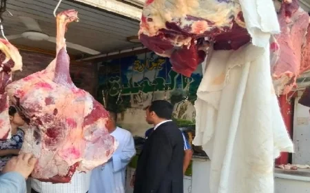 ضبط 272 مخالفة تموينية في المنيا ونجاح في إحباط بيع سلع مدعمة بالسوق السوداء