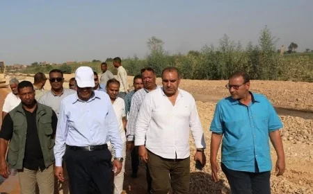 محافظ أسوان يؤكد على ضرورة الإسراع في إنجاز أعمال رصف وتجميل كوم أمبو