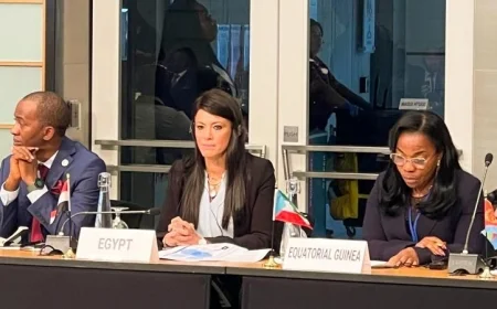 المشاط تكشف أن إفريقيا تستورد أكثر من 90% من لقاحات وأدوية العالم