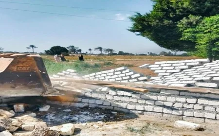 إزالة 393 حالة اعتداء على الأراضي الزراعية وأملاك الدولة في المنيا لتعزيز الأمن الزراعي