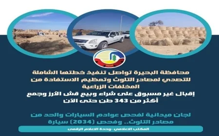 محافظة البحيرة تعزز جهودها لمواجهة مصادر التلوث بخطة شاملة ومستمرة