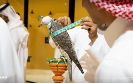 بيع صقرين في السعودية بسعر مذهل 163 ألف ريال