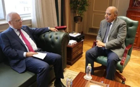 وزير الكهرباء يؤكد على تعزيز التعاون مع السويد في مجال الطاقة المتجددة