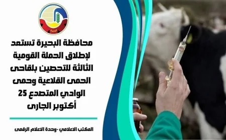 انطلاق الحملة القومية الثالثة لتحصين الماشية في البحيرة يوم السبت القادم