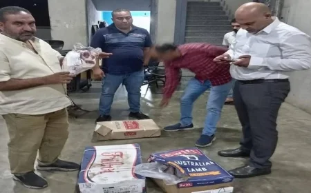 كميات ضخمة من اللحوم الفاسدة تتجاوز 52 طن في القليوبية يتم ضبطها
