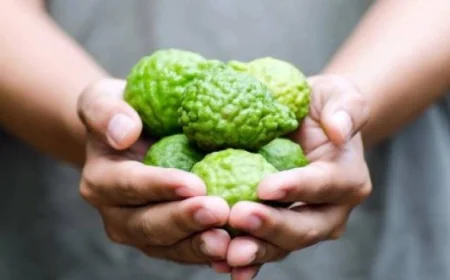 الليمون العطرى يحمي الكبد من أمراض السمنة ويعزز الصحة العامة