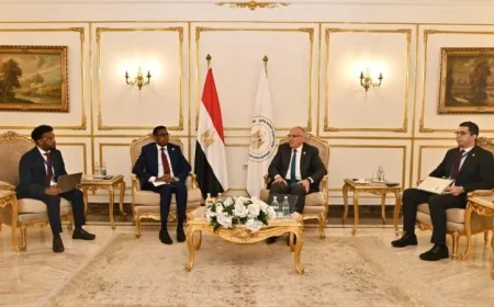 سويلم يكشف عن مشروع مذكرة تفاهم جديدة في إدارة الموارد المائية والتدريب بين مصر والصومال
