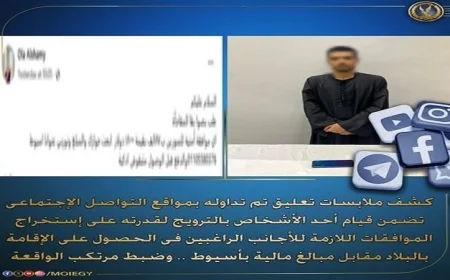 الإطاحة بشخص يحتال على الأجانب الراغبين في الحصول على الإقامة في البلاد