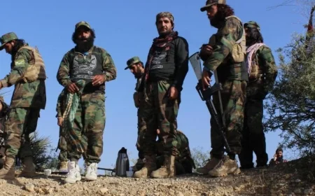 باكستان تعلن عن وقف مؤقت لإطلاق النار مع أفغانستان لتعزيز السلام في المنطقة