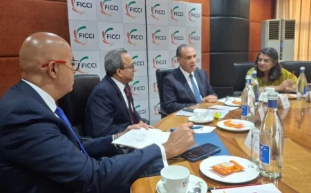 وزير الخارجية يؤكد اهتمام مصر بتحقيق شراكة صناعية قوية مع الشركات الهندية