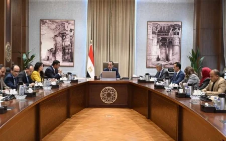 رئيس الوزراء يراقب خطر انهيار العقارات في محافظة الإسكندرية