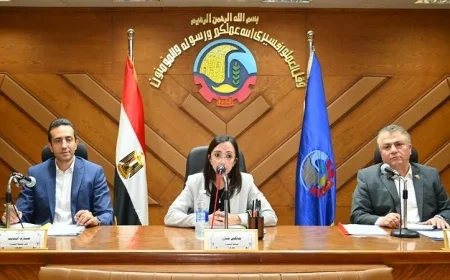 محافظ البحيرة يعلن رفع درجة الاستعداد للانتخابات البرلمانية 2025