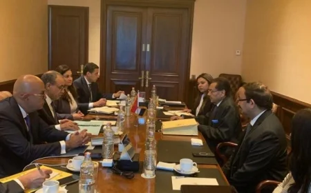 وزير الخارجية يؤكد اهتمام مصر بالتعاون مع الشركات الأجنبية لتعزيز الاستثمارات الأجنبية المتزايدة