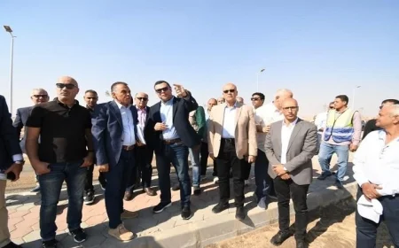 وزير الإسكان يقوم بجولة تفقدية للطرق ووحدات الإسكان الأخضر في حدائق العاشر من رمضان