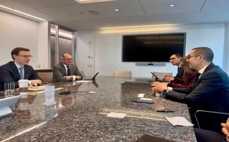 وزير الاستثمار يعقد مباحثات مع شركة فيزا العالمية لتعزيز التعاون في التحول الرقمي بمصر