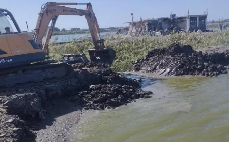 إزالة 25 فدانًا من المزارع السمكية المخالفة في الأراضي الزراعية بجنوب بورسعيد