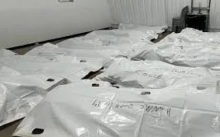 ارتفاع عدد جثامين الشهداء المستلمة في فلسطين إلى 120 وفق مصادر طبية