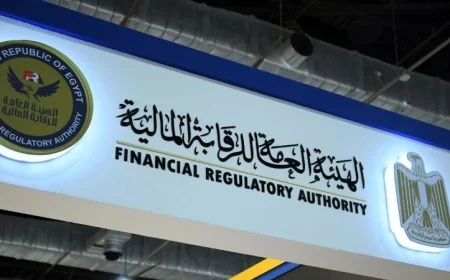 الرقابة المالية تعلن عن زيادة التمويل الاستهلاكي ليصل إلى 56.7 مليار جنيه