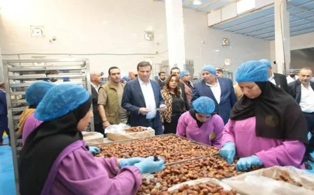 وزير التنمية المحلية والزراعة يزوران مشروع الإنتاج الحيواني في الوادي الجديد لتعزيز التنمية الريفية