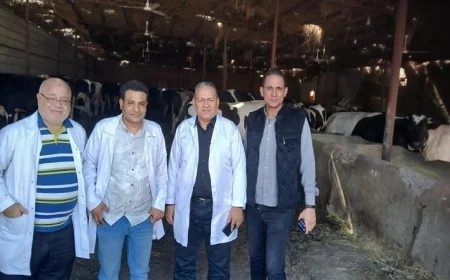 تحصين 598 رأس ماشية في الفيوم للحماية من الحمى القلاعية والوادي المتصدع