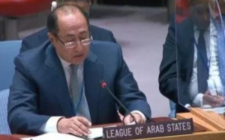 حسام زكي يعلن انتهاء حرب الإبادة الإسرائيلية على غزة بمؤتمر شرم الشيخ