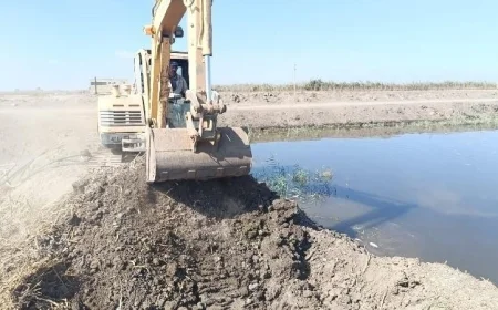 حملة لإزالة 10 مزارع سمكية مخالفة بمساحة 50 فدانًا في جنوب بورسعيد