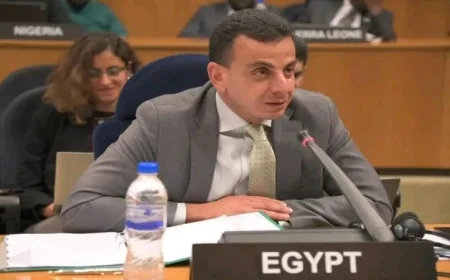 سفير مصر في إثيوبيا يشارك في الاجتماع التشاوري المشترك 19 في مقر الاتحاد الإفريقي