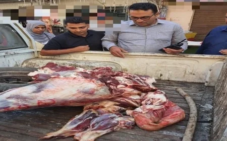 الشرطة تضبط كميات كبيرة من اللحوم المذبوحة خارج المجازر في شبين الكوم والباجور