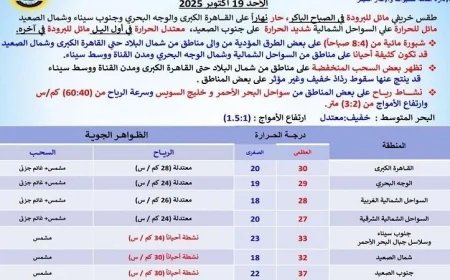طقس الغد في القاهرة حار نهاراً ومائل للبرودة ليلاً مع درجة حرارة عظمى تصل إلى 30 درجة