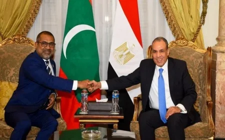 وزير الخارجية يناقش مع نظيره المالديفي تعزيز العلاقات الثنائية والتعاون المشترك بين الدولتين