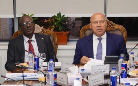 مصر والسودان تتعاونان لتفعيل خطة تطوير هيئة وادي النيل للملاحة النهرية