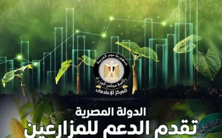 الدولة تستثمر 70 مليار جنيه سنوياً في دعم الأسمدة حسب تقرير المركز الإعلامي لمجلس الوزراء