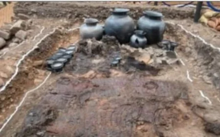 اكتشاف مجمع مقابر خشبية يسلط الضوء على طقوس التضحية البشرية في كوريا الجنوبية