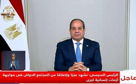 الرئيس السيسي يؤكد أن إفريقيا لديها فرصة قوية لقيادة العالم في استعادة النظام العالمي