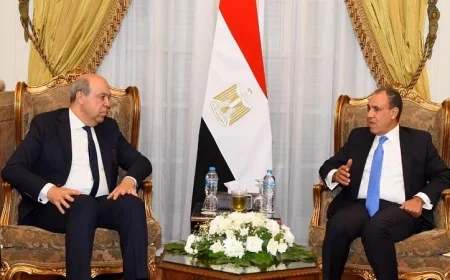 وزير الخارجية يلتقي وزير الطيران المدني لمناقشة انتخاب مصر في مجلس منظمة الإيكاو