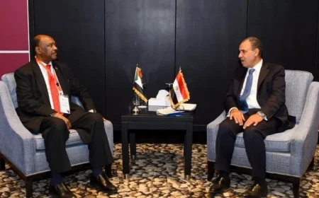وزير الخارجية يؤكد استمرار جهود مصر لتعزيز الاستقرار في السودان الشقيق