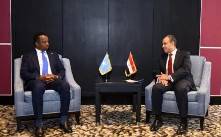 وزير الخارجية يناقش مع نظيره الصومالي سبل تعزيز الشراكة الاستراتيجية بين البلدين