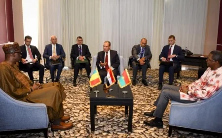 صور وزير الخارجية يستعرض سبل تعزيز التعاون مع وزيري خارجية مالي وبوركينا فاسو