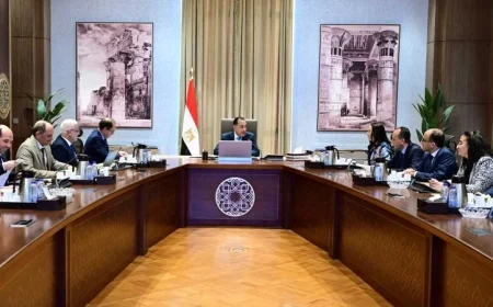 رئيس الوزراء يستعرض الوضع المالي لهيئة التأمين الاجتماعي في مصر