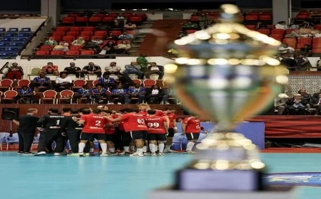 الأهلي يحقق لقب بطل إفريقيا لكرة اليد بعد انتصاره على درب السلطان